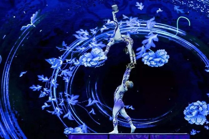 Acrobatics Show With Private Driver Service and Hotel Round Transfer - Additional Information