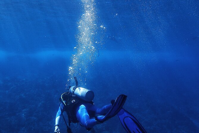 Adventure Snorkeling Tour to Ras Mohamed by Bus - How to Get There