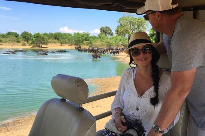 Afternoon Safari at Udawalawe National Park - Frequently Asked Questions