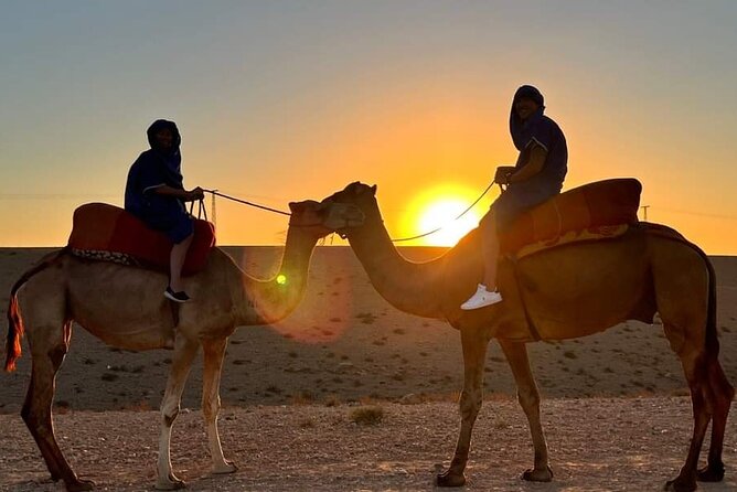 Agafay Quad Bike & Camel Sunset & Swimming Pool With Dinner_Show - Booking Details and Pricing