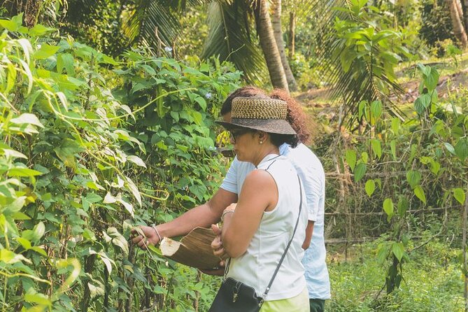 Agro Tour of Sri Lanka (5 Days) - Price Details