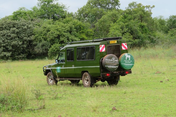 Akagera National Park From Kigali - Group Size and Pricing