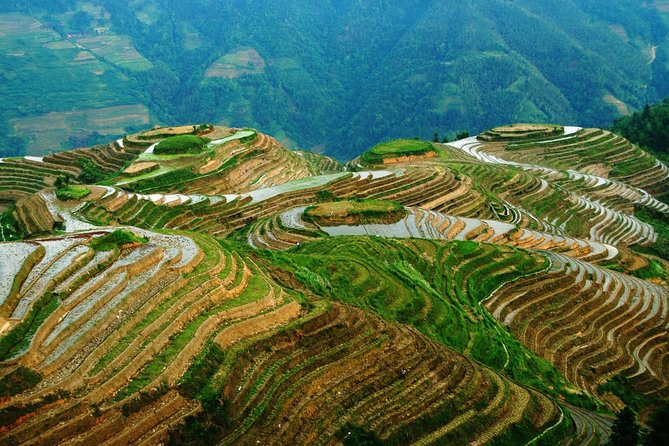 All Inclusive Private Day Tour of Longji Rice Terraces and Minority Village - Booking Information and Flexibility