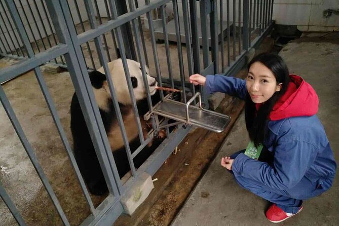 All Inclusive Wolong or Dujiangyan Panda Base Volunteering - Health and Safety Requirements