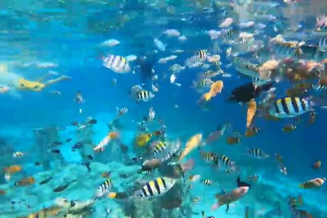 All Inclusive:Bali to Gili Islands | Snorkeling + Transfers + Stay-3Days/2Nights - Transportation Information