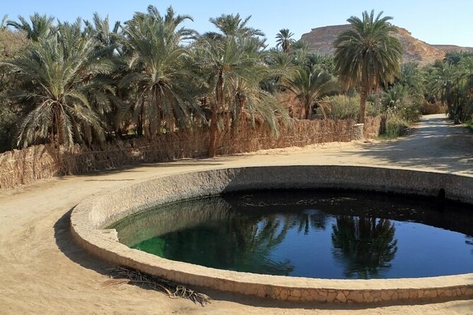 Allinclusive 5 Days Private Tour To Siwa and Bahariya Oasis - Pricing and Discounts