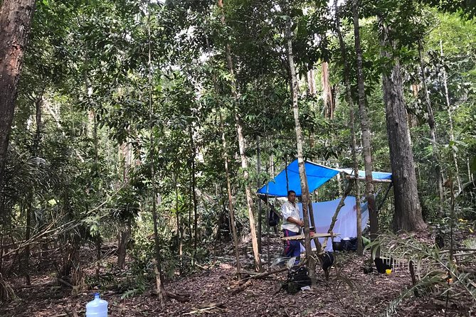 Amazon Survival Tour 6D/5N - The Sum Up