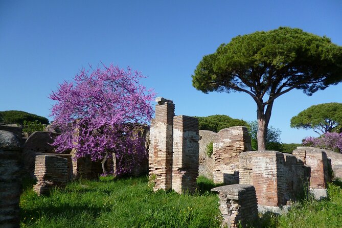 Ancient Ruins of Ostia Tour - Pickup Information