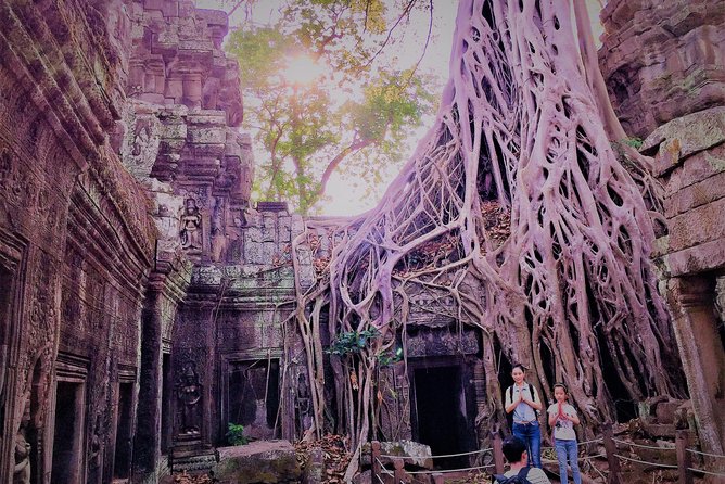 Angkor Wat Sunrise Half Day by Join-in Tour - Safety and Accessibility