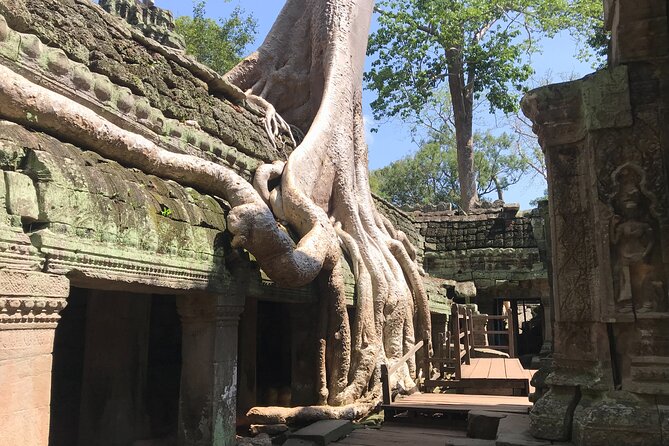 Angkor Wat Sunrise Tour - What To Expect