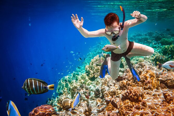 Aquatic Adventure ATV Quad and Snorkeling From Marsa Alam