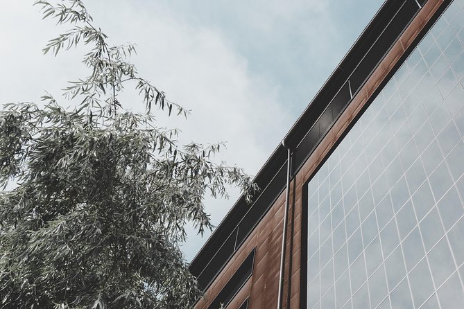 Architectural Mannheim: Private Tour With a Local Expert - Information for Travelers