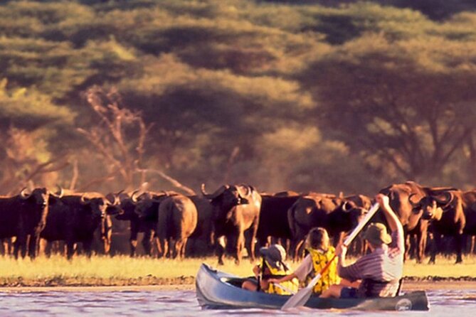 Arusha National Park ( Day Trip ) - Reservation Process