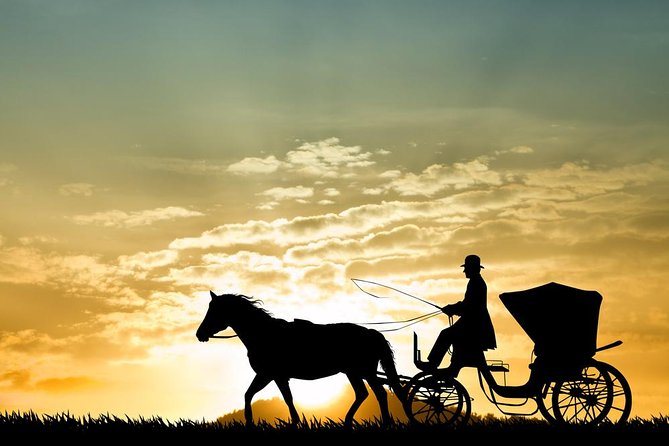 Aswan City Private Tour By Horse Carriage - Pickup Information