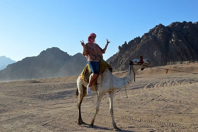 ATV Quad Bike Safari And Camel Ride in Sharm El-Sheikh - Cancellation Guidelines