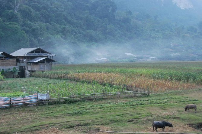 Ba Be Remote Regions Trekking 5 Days - Frequently Asked Questions