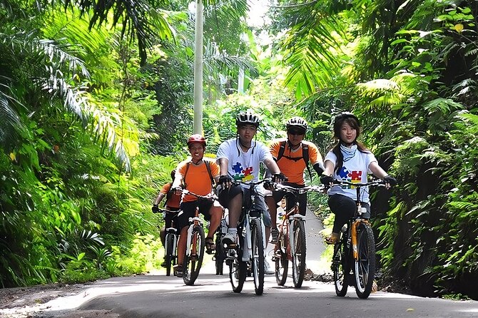 Bali Cycling for 2 Hours With Pick up Service and Lunch - Restrictions and Weather Concerns