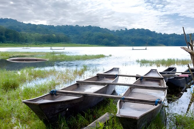 Bali Jungle Trekking With Lunch and Return Hotel Transfer - Buffet Lunch in Bedugul