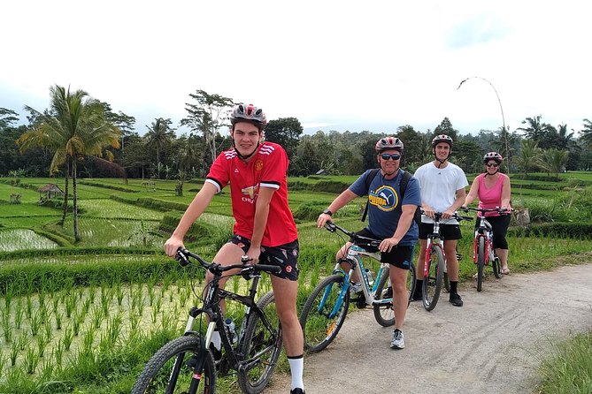 Bali Kintamani Cycling Tour With Transport Service - The Sum Up