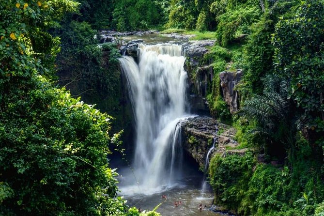 Bali Romantic: Ubud and Tanah Lot Tour - Additional Information