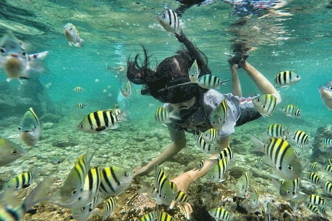 Bali Snorkeling at Blue Lagoon & Tanjung Jepun Beach: All-Inclusive - Pickup Information