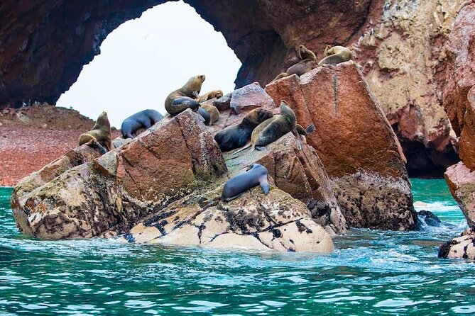 Ballestas Islands and Paracas Reserve Tour From San Martín Cruise - Booking Confirmation Process