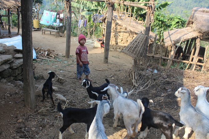 Bandipur to Ramkot Village Hiking With Local Guide Full Day - Scenic Highlights