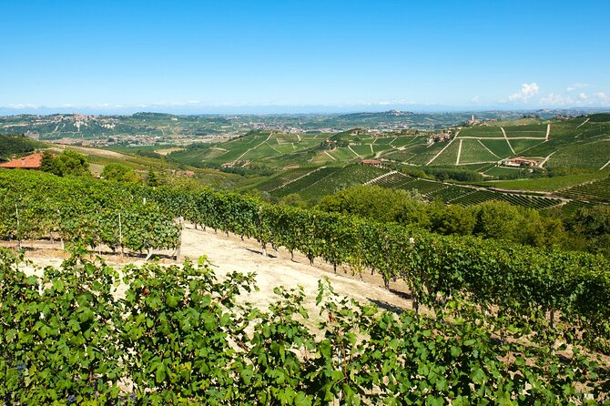 Barbaresco Wine Path: From the Old Town to the Vineyards - Additional Information
