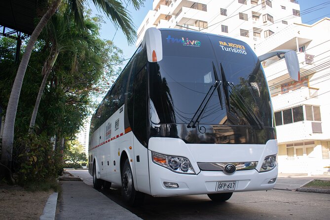 Baru Island, Playa Blanca - Operator