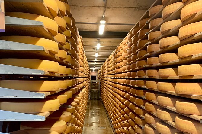 Basel Private Tour - Gruyères, Cheese, and Lavauxs UNESCO Wine - Tips for Travelers