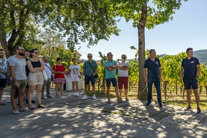 Basque Vineyard Visit: Txakoli Wine Tasting & Pintxos From Bilbao - Booking Your Tour