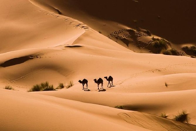 Bedouin BBQ in the Egyptian Desert From Hurghada by 4x4 - Price and Cancellation Policy