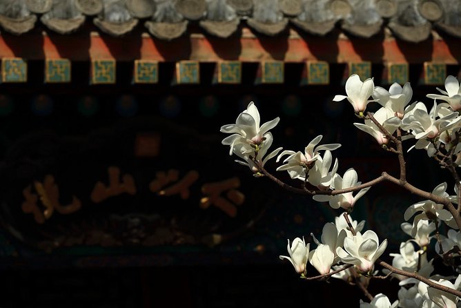 Beijing 2-Day Tour From Shanghai With Deluxe Soft Sleeper Train Experience - Cancellation Policy Details