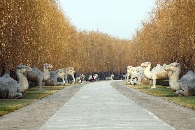 Beijing Private Day Tour to Ming Tombs - Operator Information