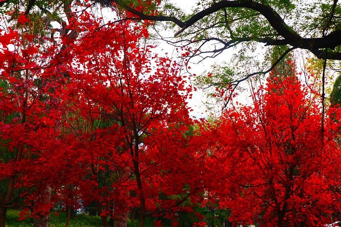 Beijing Private Tour to Summer Palace and Fragrant Hill With Cable Car Ride - Pricing and Booking Information