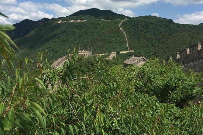 Beijing｜Mutianyu Great Wall & Bird Nest Day Tour - Customer Reviews