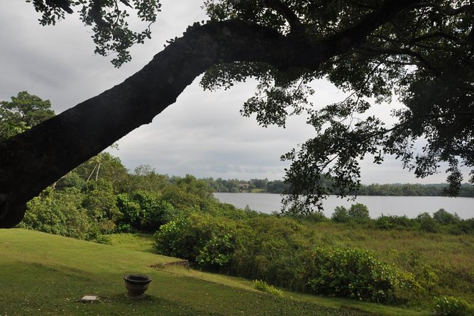 Bentota City Tour From Negombo - Price and Booking Details