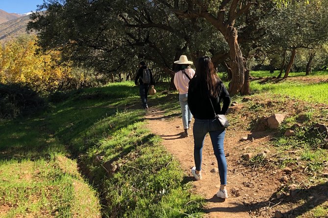 Berber Villages, Camel Ride & Tinmal Mosque Day Trip - Requirements and Accessibility