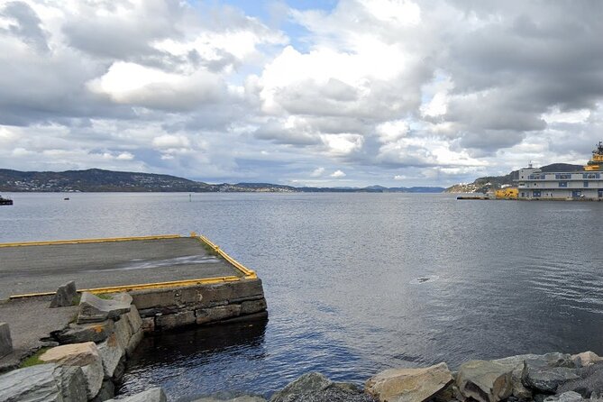 Bergen City 90-minute Private Tour by Electric Car - Tour Inclusions