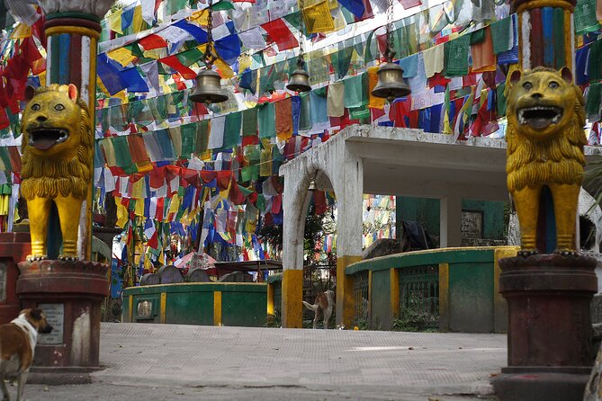 Best of Darjeeling (Guided Halfday Sightseeing Tour by Car) - Booking and Cancellation Policy
