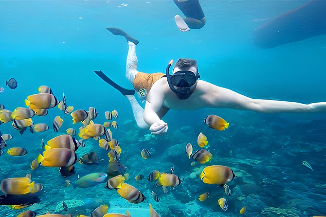 Best of Nusa Penida Snorkeling: Manta Bay, Wall Point & Gamat Bay - Manta Bay Snorkeling Highlights