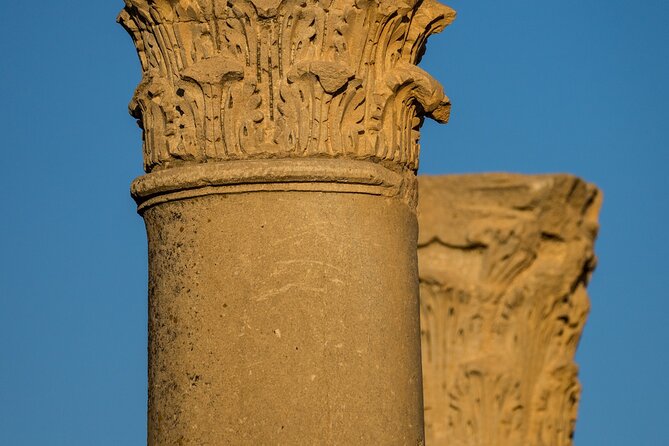 Best of Timgads Roman Ruins Tour By Fancyellow - Price, Flexibility, and Reservation