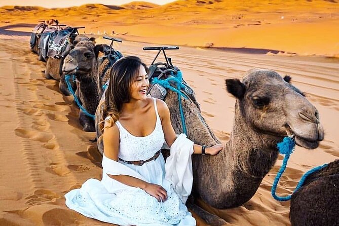 Best Shared Group Tour From Fes to Fes Sahara 2 Days/1 Night - Cancellation Policy