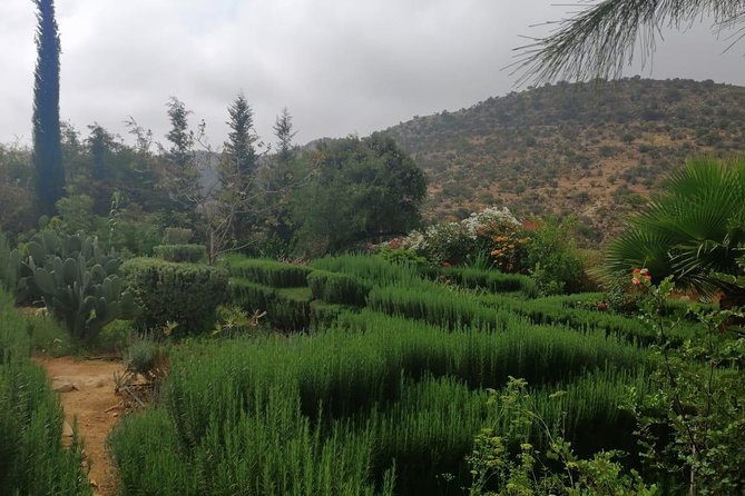 Best Trip : Half Day to Paradise Valley From Agadir - Accessibility and Health Notes