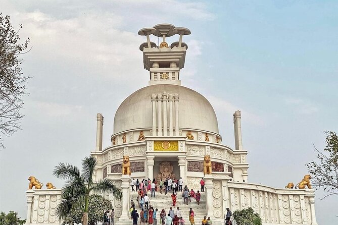 Bhubaneswar in a Day: Mystical Temples and Local Delights! - Booking Information