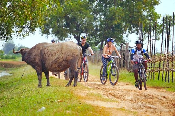 Bike the Siem Reap Countryside With Local Expert - Booking Information and Tips