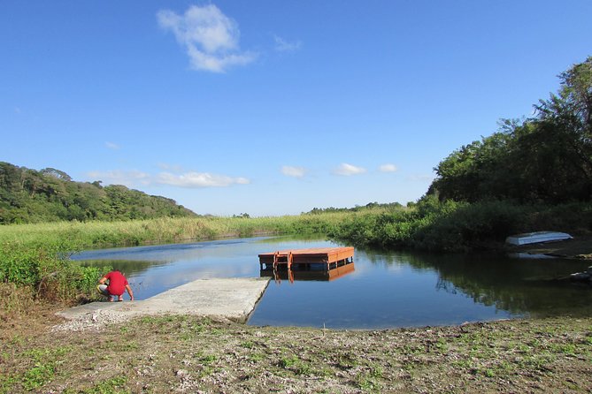 Bird Watching Tour - Why Choose Nicaragua Vip Services