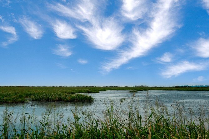 Bird Watching Tour at Nanji Hill Poyang Lake Nature Reserve From Nanchang - Logistics