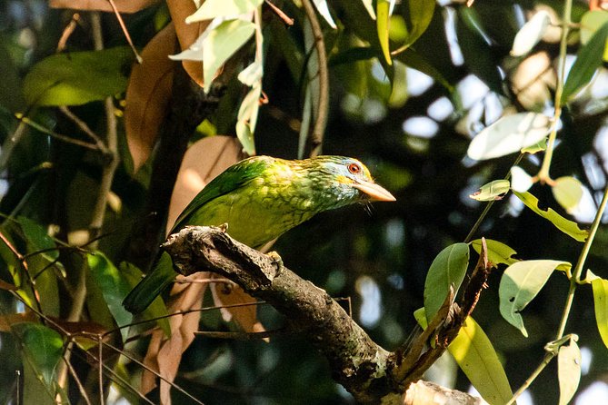 Birds and Wildlife Tour (11 Days) - Birdwatching Opportunities