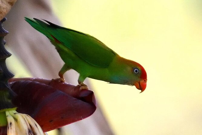 Birdwatching Walk in Anawilundawa Sanctuary From Kalpitiya - Cancellation Policy and Refund Conditions